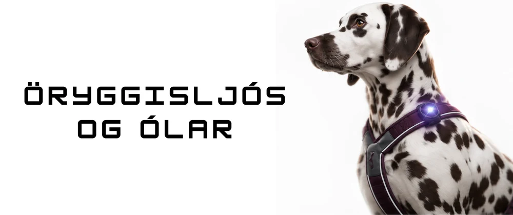 Öryggisljós og ólar — endurskin og ljós fyrir hunda