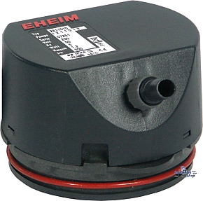 Pumphead Í 2211