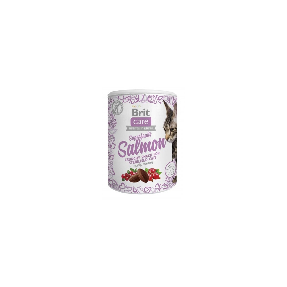 Brit Care Cat Snack Superfruits Salmon 100g
