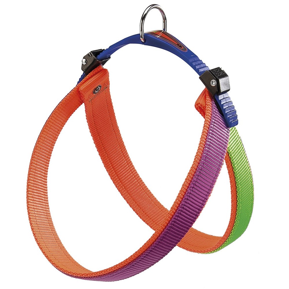 Agila Colors 4 Harness Purp-Or