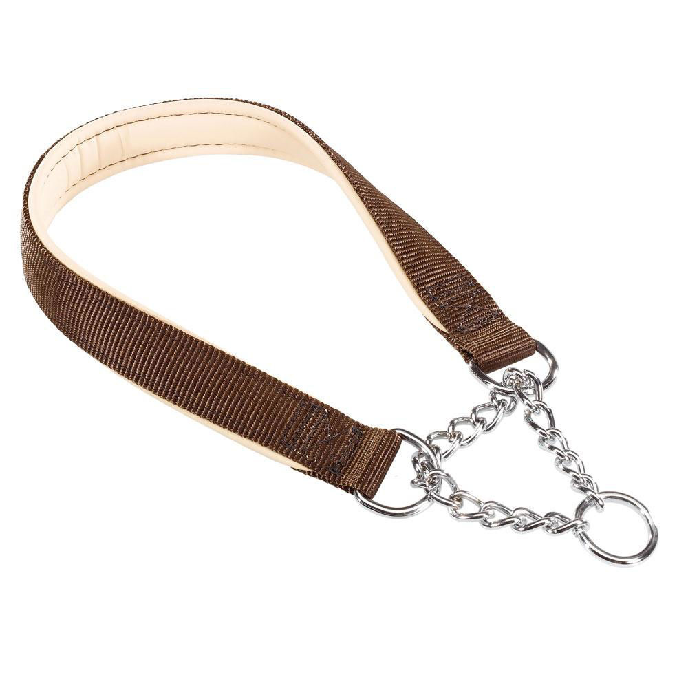 Daytona Css25/65 Marr.Collare