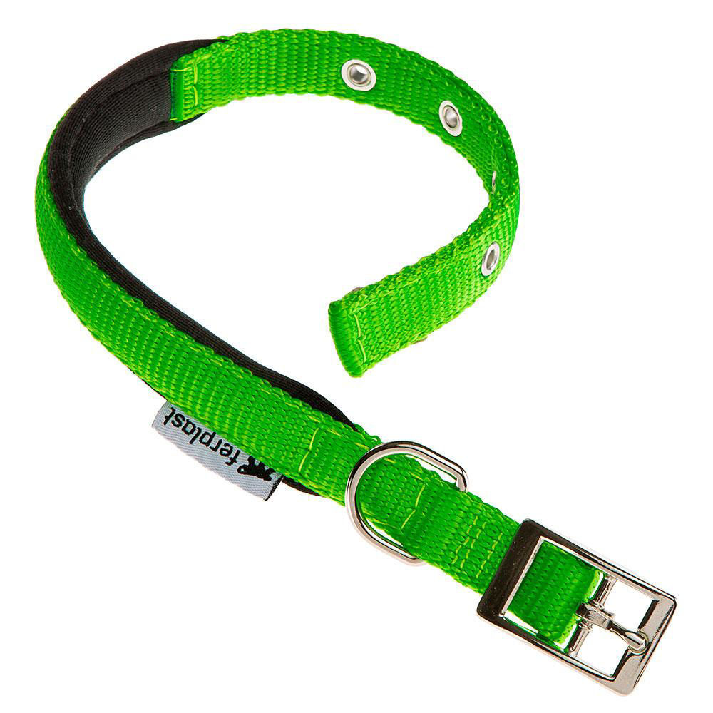 Daytona C20/43 Collar Green