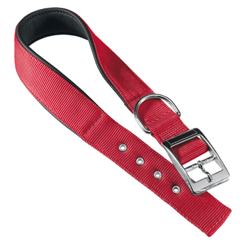 Daytona C40/63 Collar Red