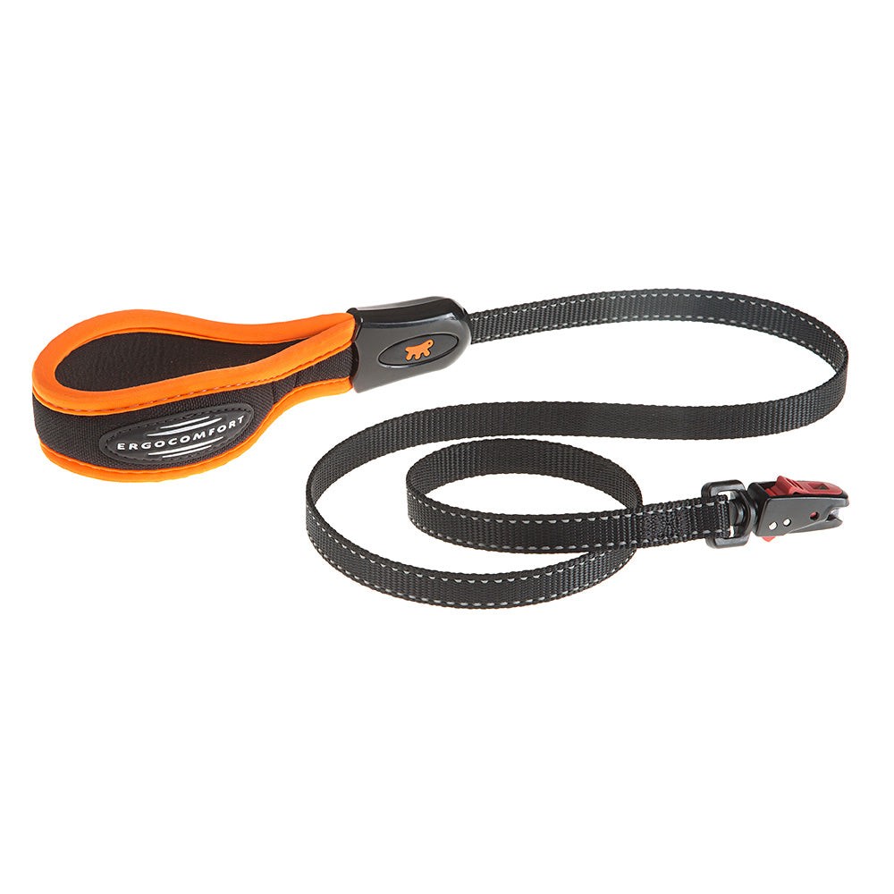 Ergofluo Maticg15/120Lead Oran