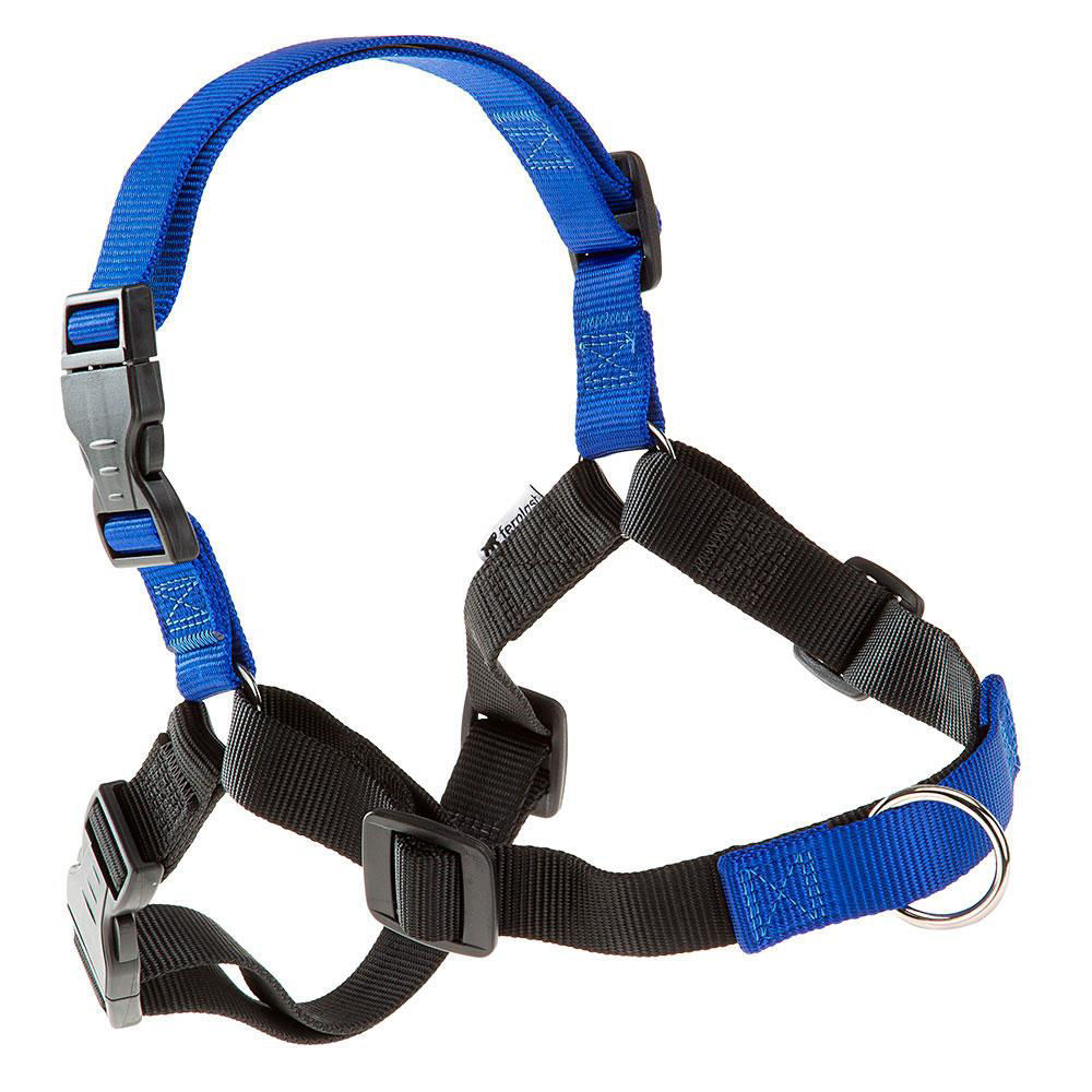 Coach P M Harness Blue