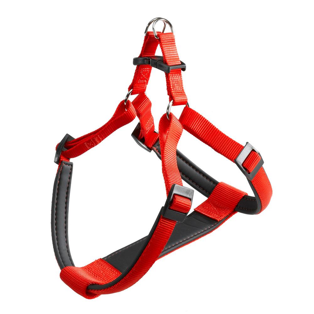 DAYTONA P MED HARNESS RED