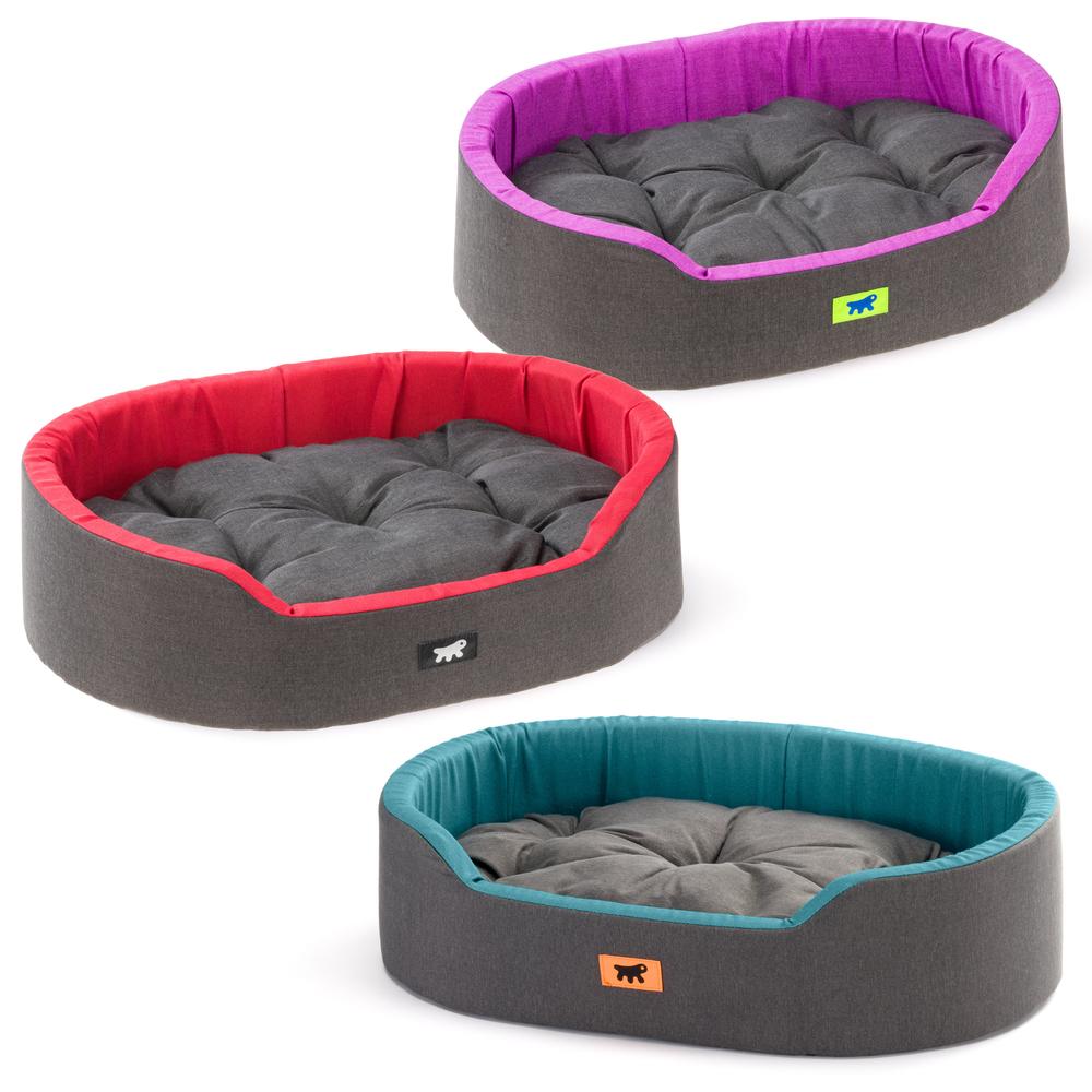 Dandy 45 C.Blue-Green-Fucsia