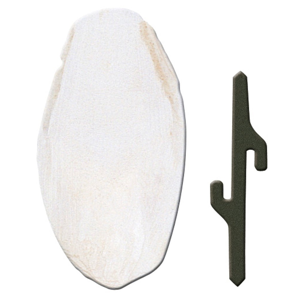 Pa 4330 Cuttlebone Small