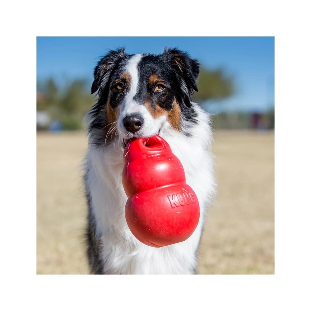 Kong Bounzer Medium