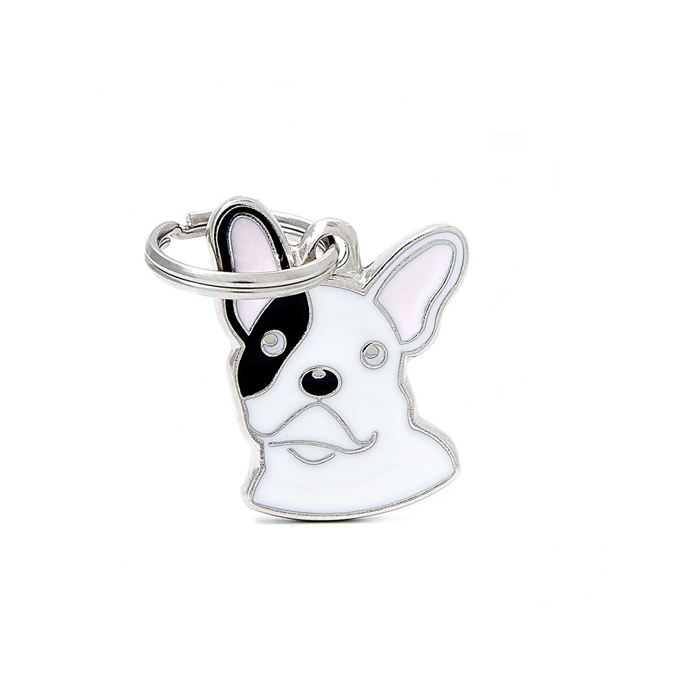 Black And White French Bulldog
