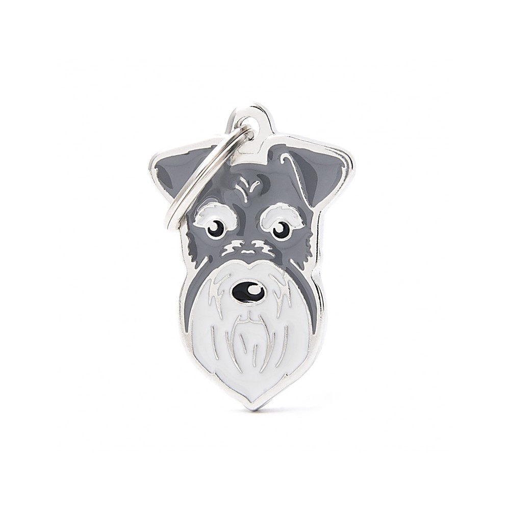 Pepper-And-Salt Schnauzer