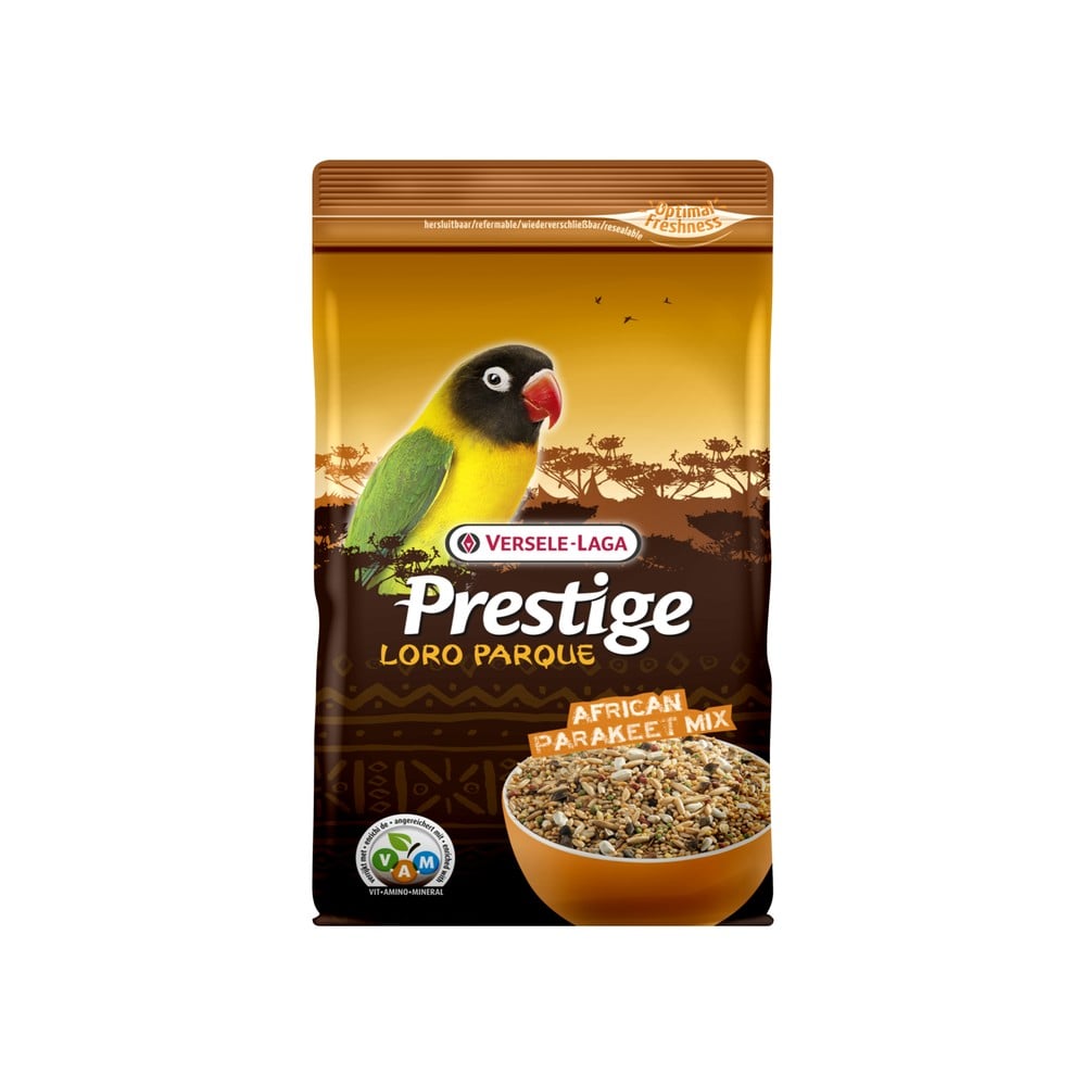 African Parakeet Loro 1 kg.