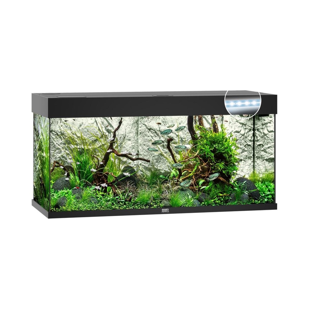 Rio 180 Led Black