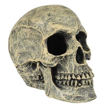 Coffin Skeleton bubble action 14,5 cm