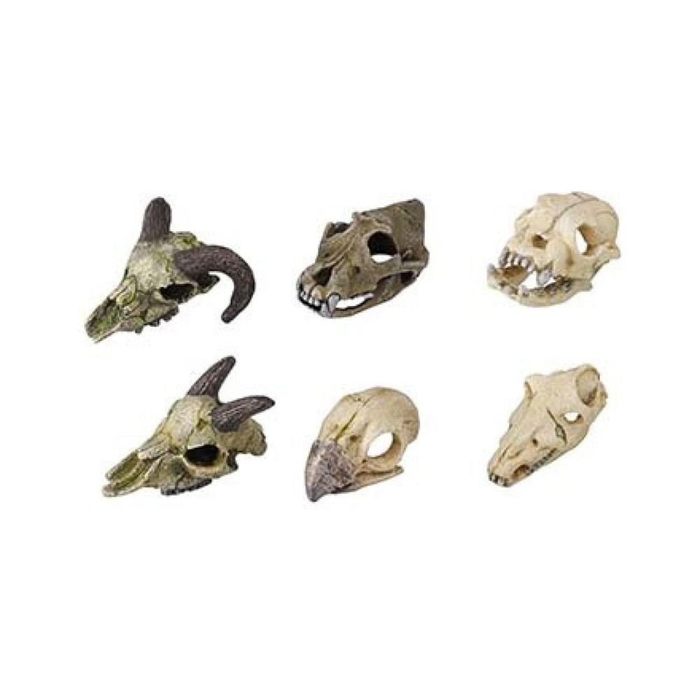 SKULLMINI ASSORTED 7-10cm