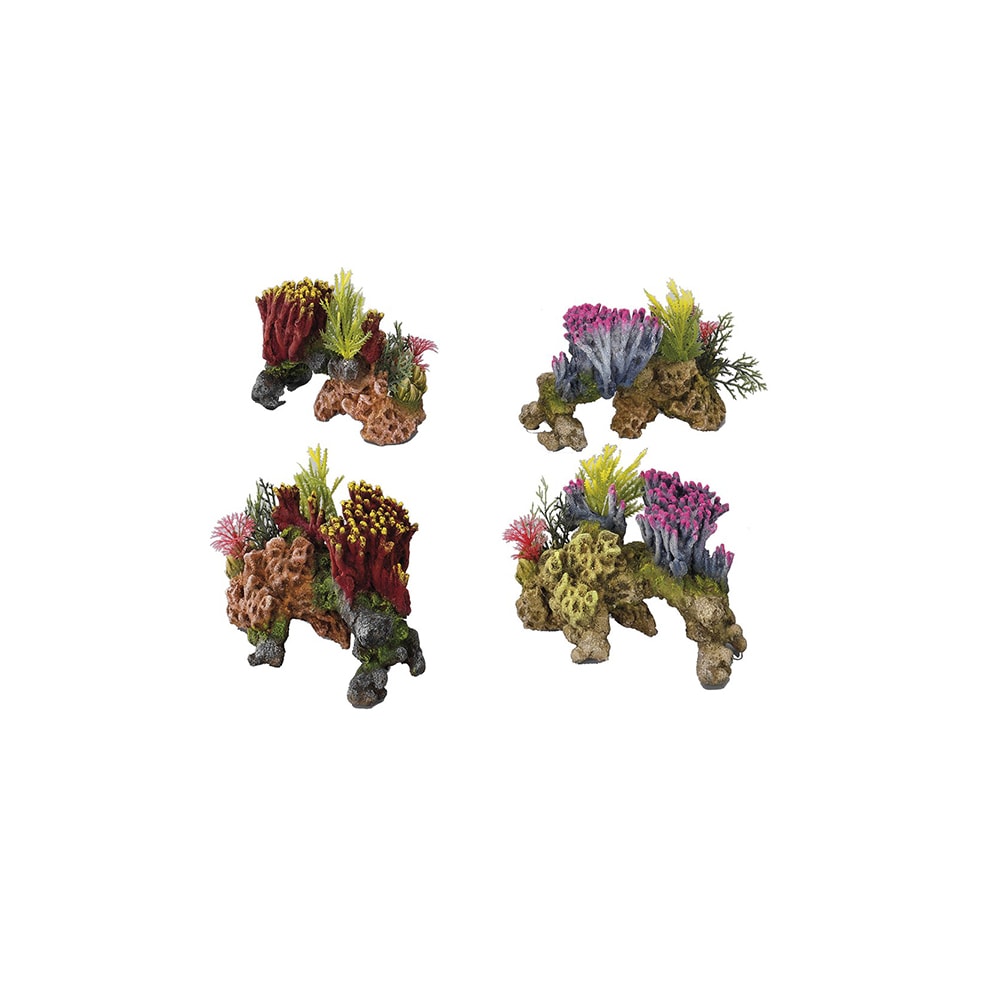 Coralset Med. 15x9x11CM