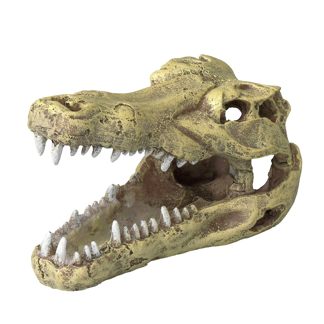 CROCODILE HEAD S – 13,5×6,5×7,5cm
