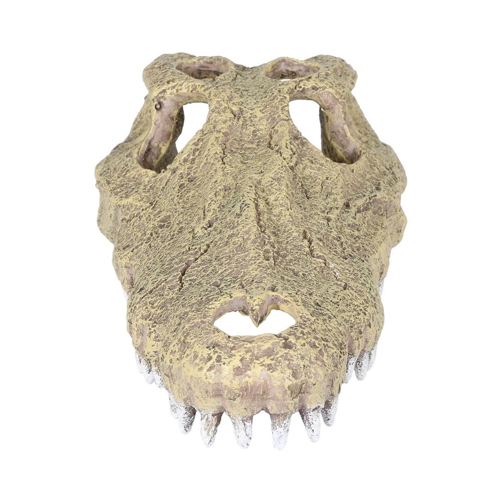 Aligator 28,5X14,5X8Cm J06-3