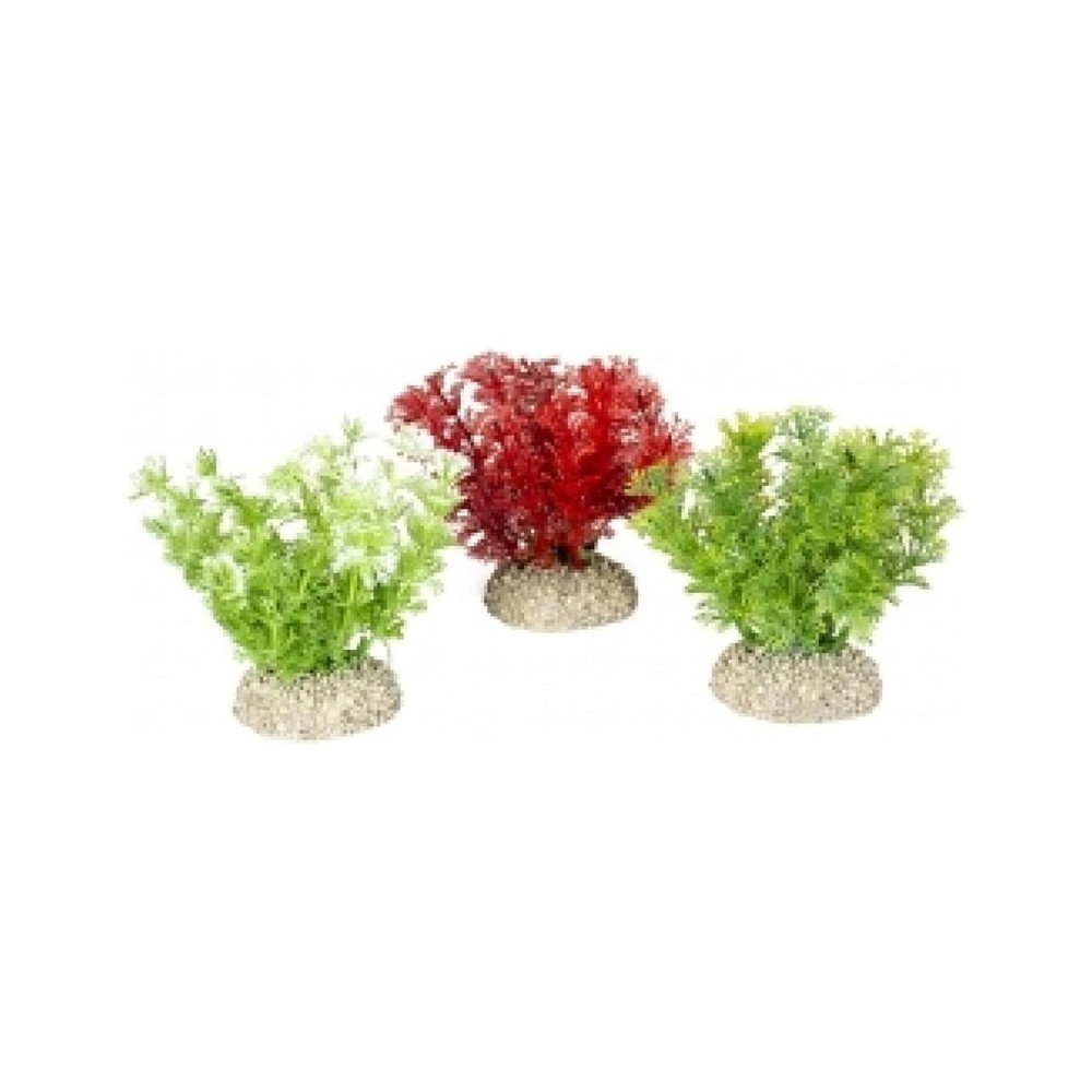 Fiskabúraskraut Hottonia S 10cm
