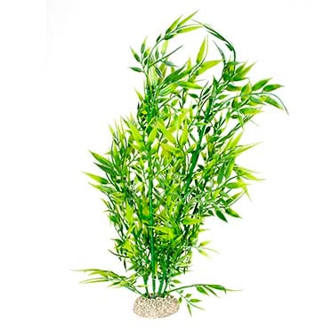 Fiskabúraskraut Bamboo XL 37cm