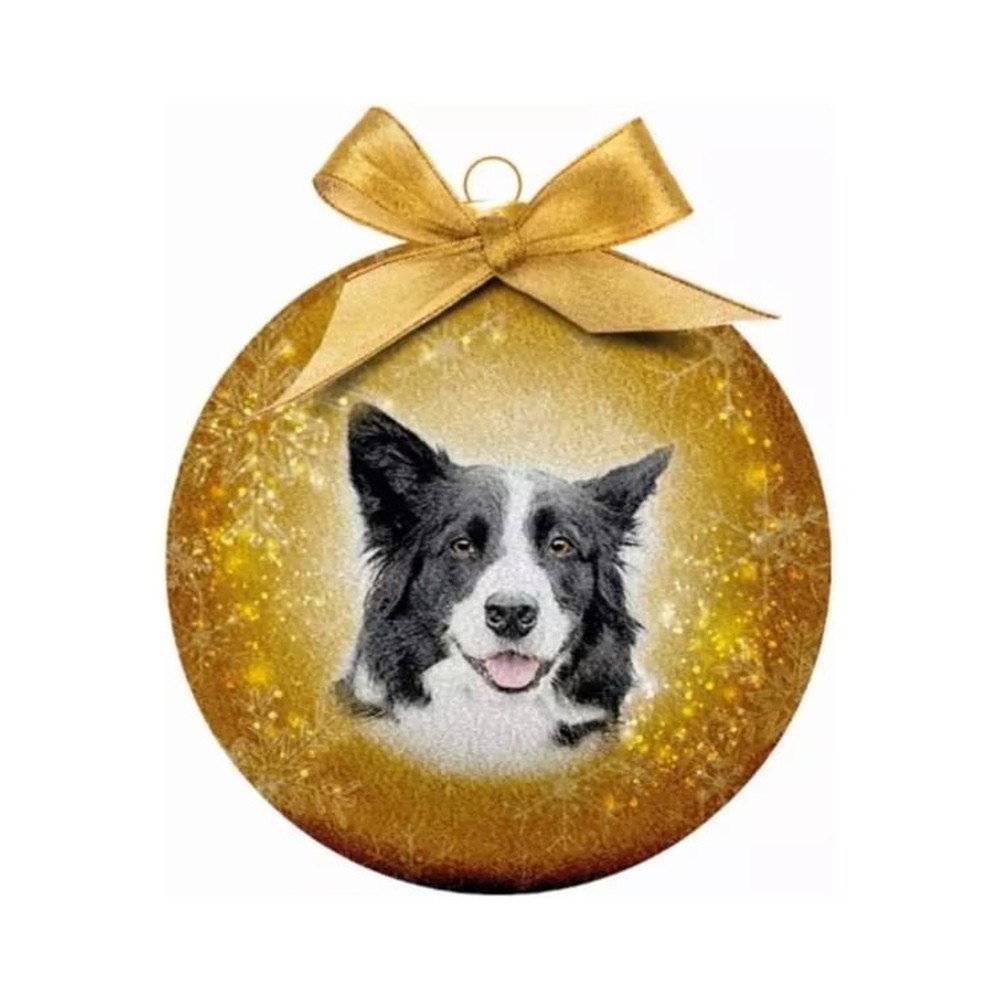 Bauble Xmas Frosted Cl Border C