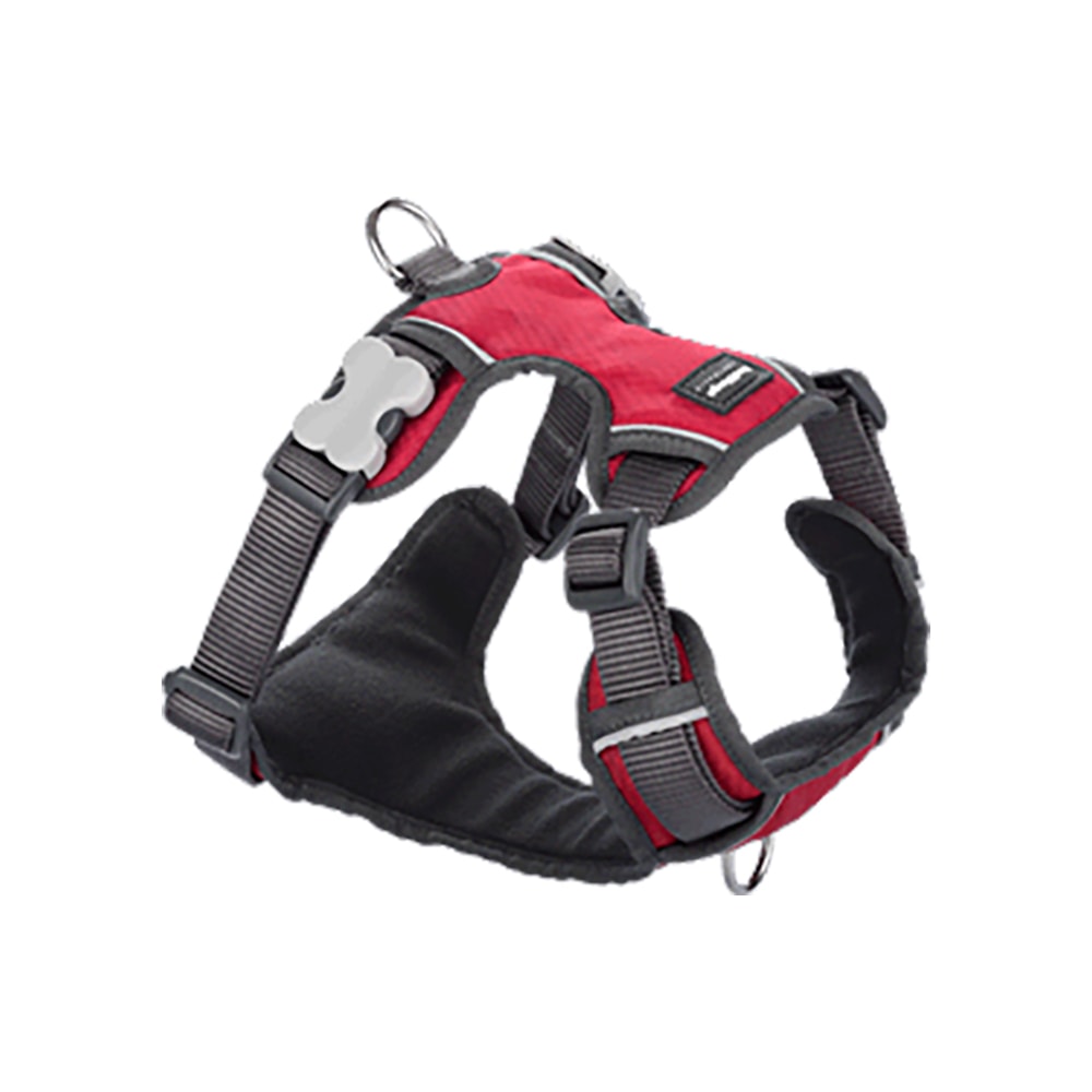 Dog Padded Harness Red S