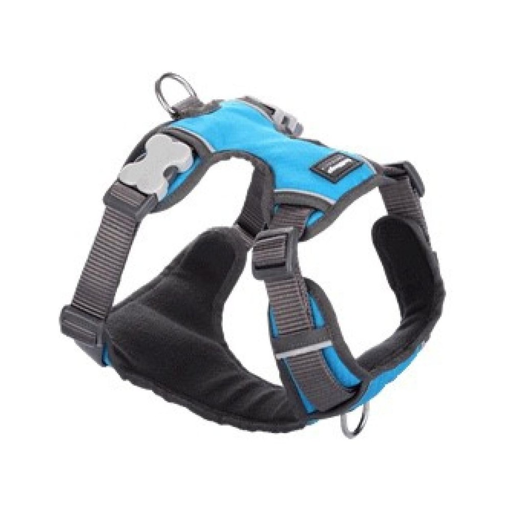 Padded Harn. Turquoise XS 1