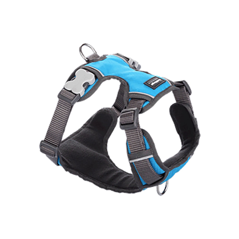 Dog Padded Harn. Turquoise S 1
