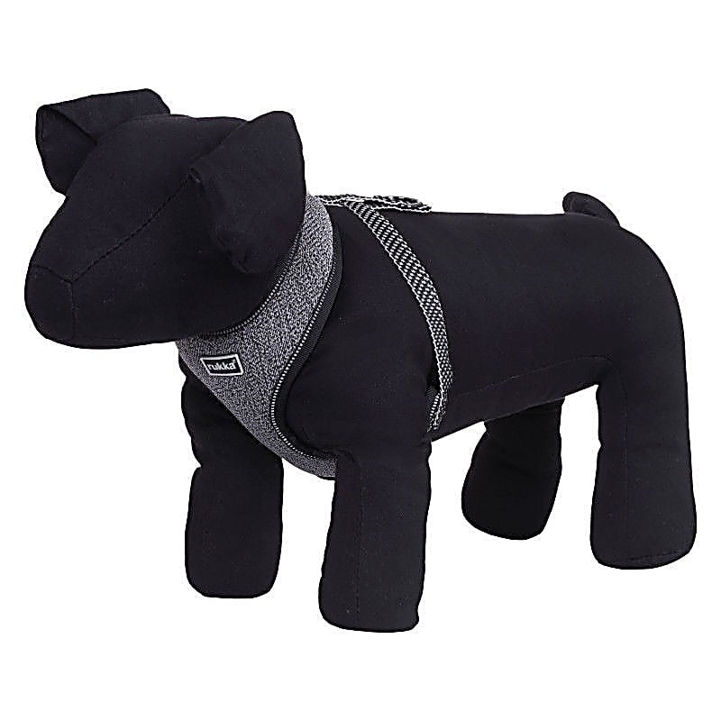 Star Mini Harness Black – Size : L