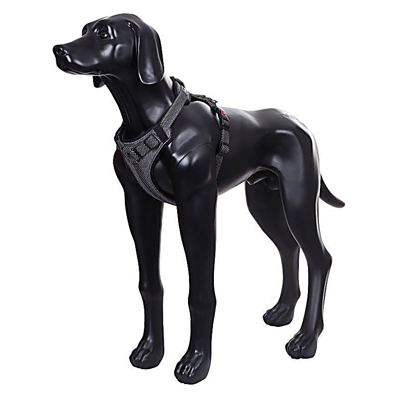 Star Padded Harness Black – Koko Xl