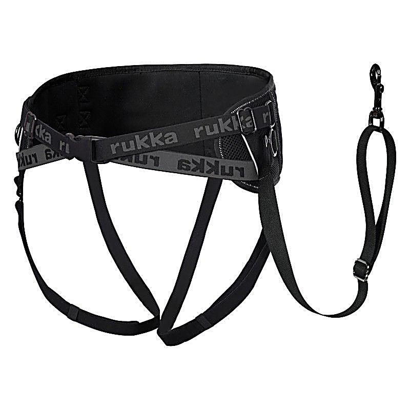 Running Belt Black – Size : One