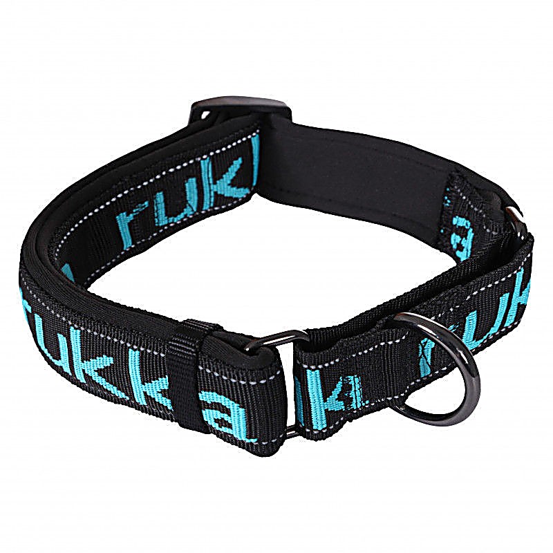 Solid Web Collar Black/Turquoise – Size : M
