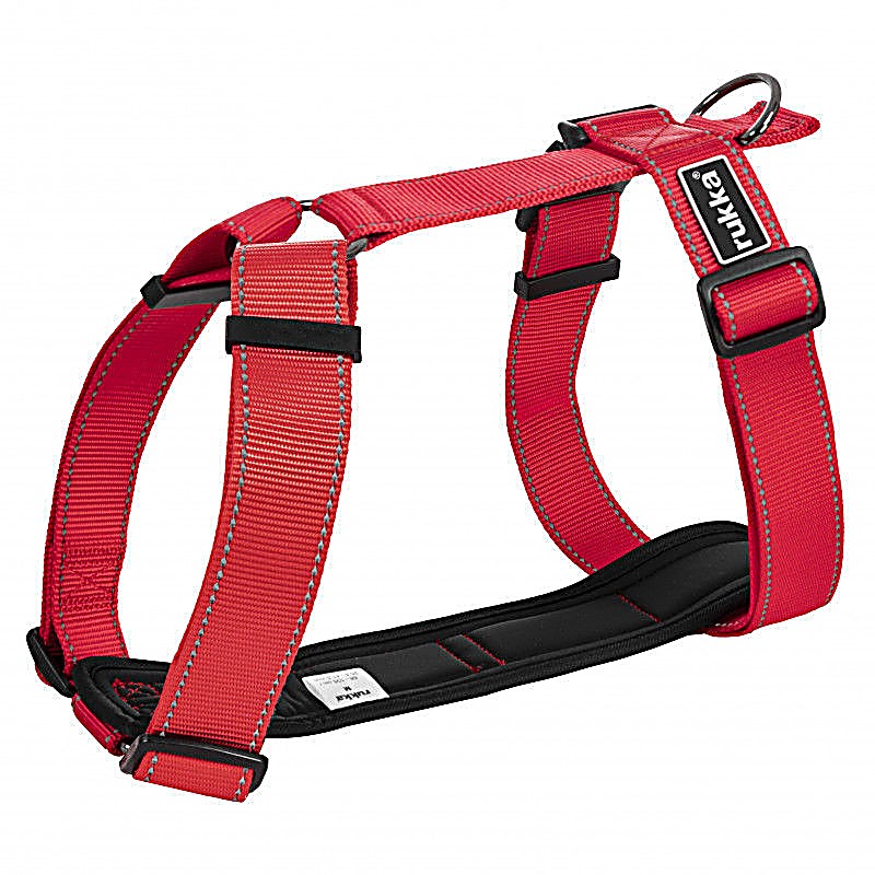 Form Harness Red – Size : Xs