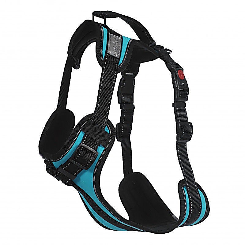 Solid Harness Turquoise – Size : M