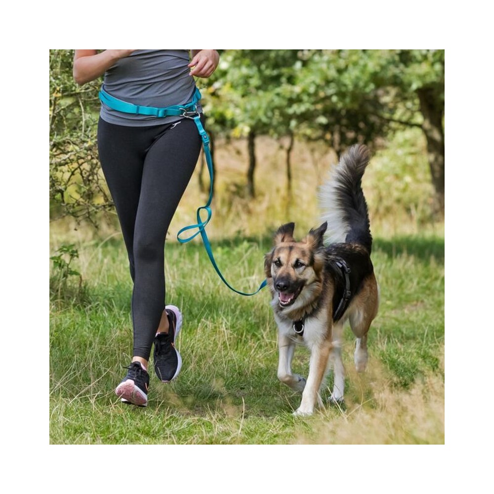 Waist Belt with Lead for Small and Medium-Sized Dogs