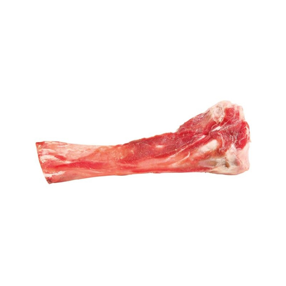 Tibia Bone, packaged
