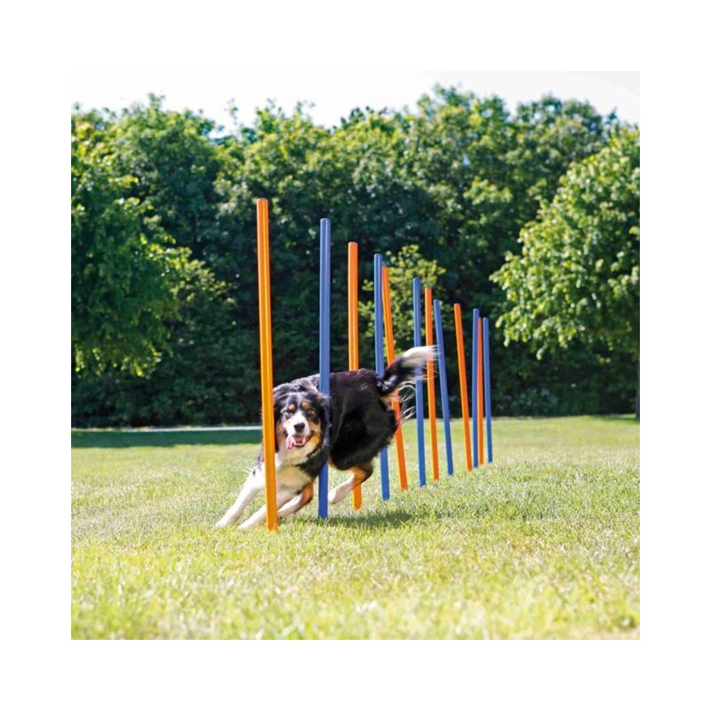Fun Agility Slalom