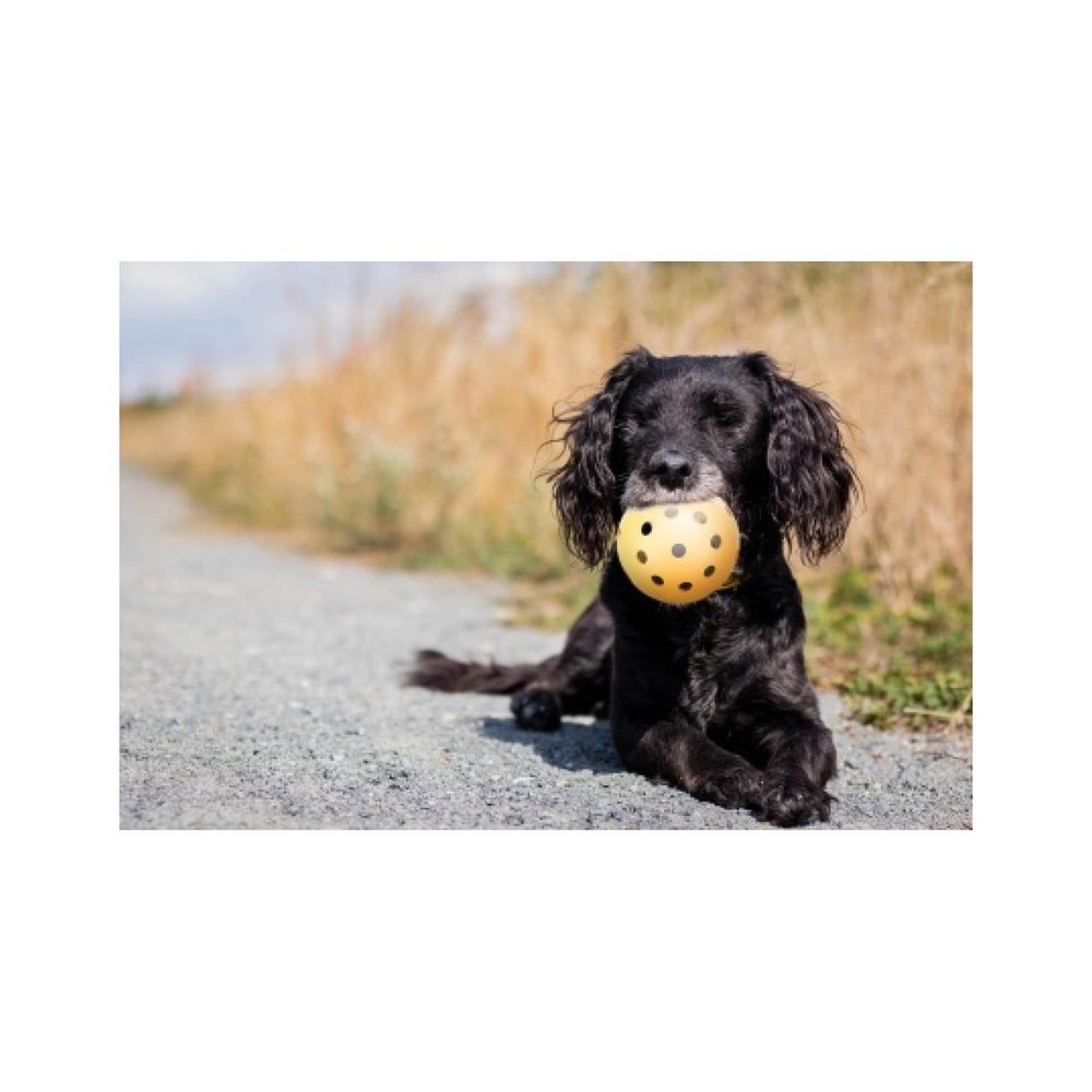 Holey ball w.bell natural rubber 7 cm S F5