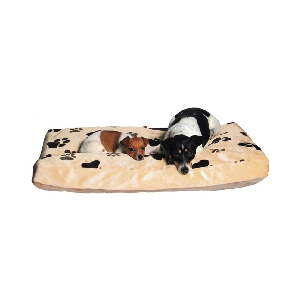 Cushion Joey 80×55 cm, beige/light br B0533