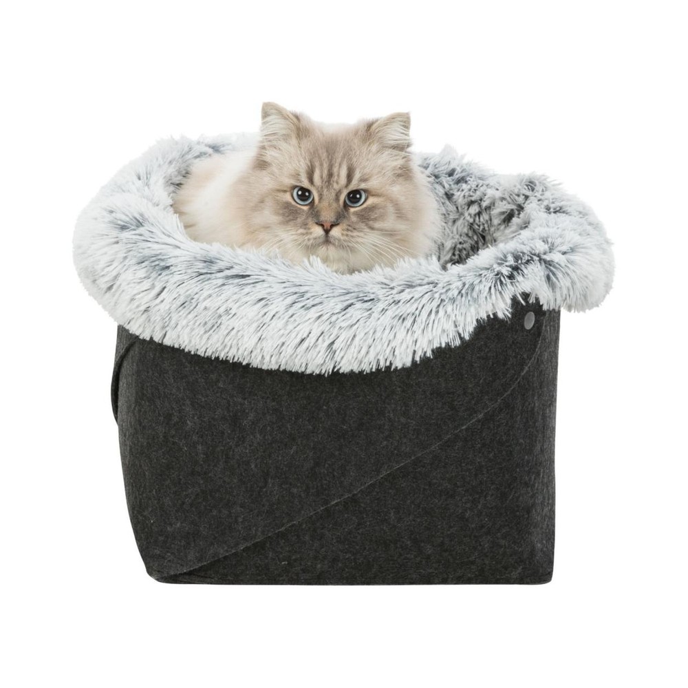 Bed Harvey