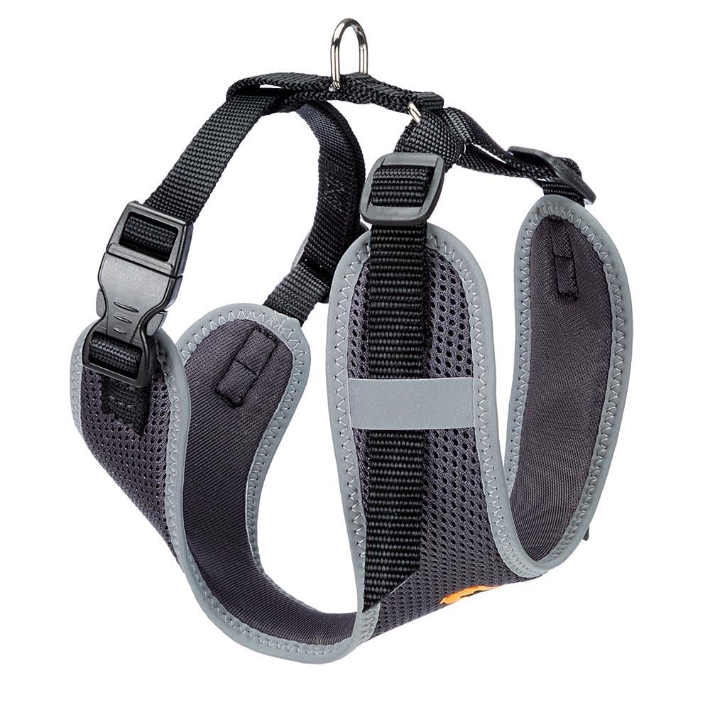 NIKITA P M HARNESS Svart