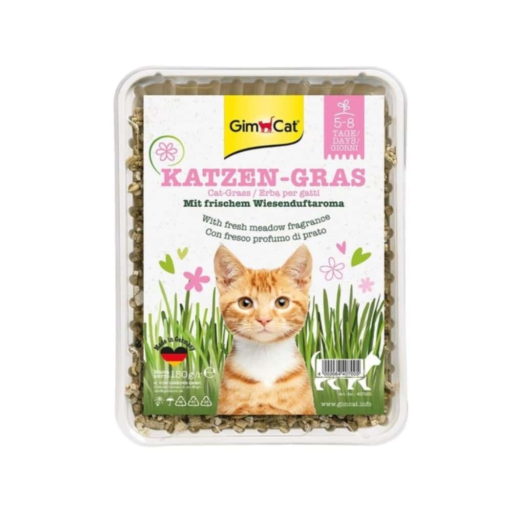 GimCat – Cat Grass 150g