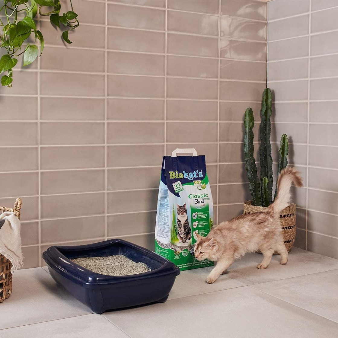BioKat’s Kattasandur – Classic Fresh 10L