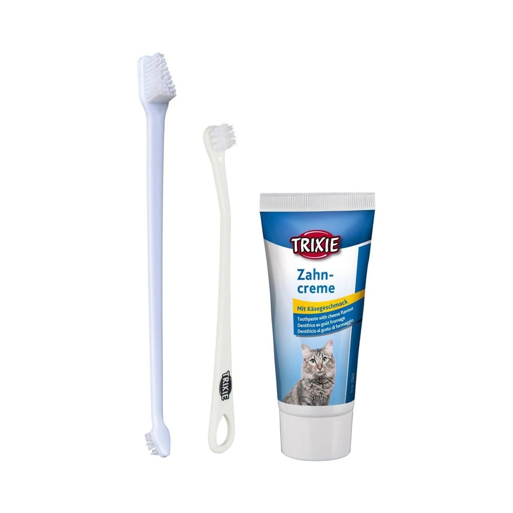 Dental hygiene set cats