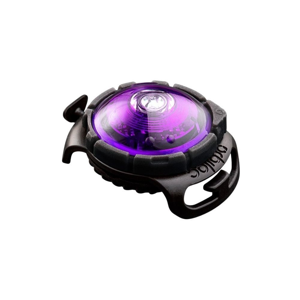 Orbiloc Dog Dual Purple
