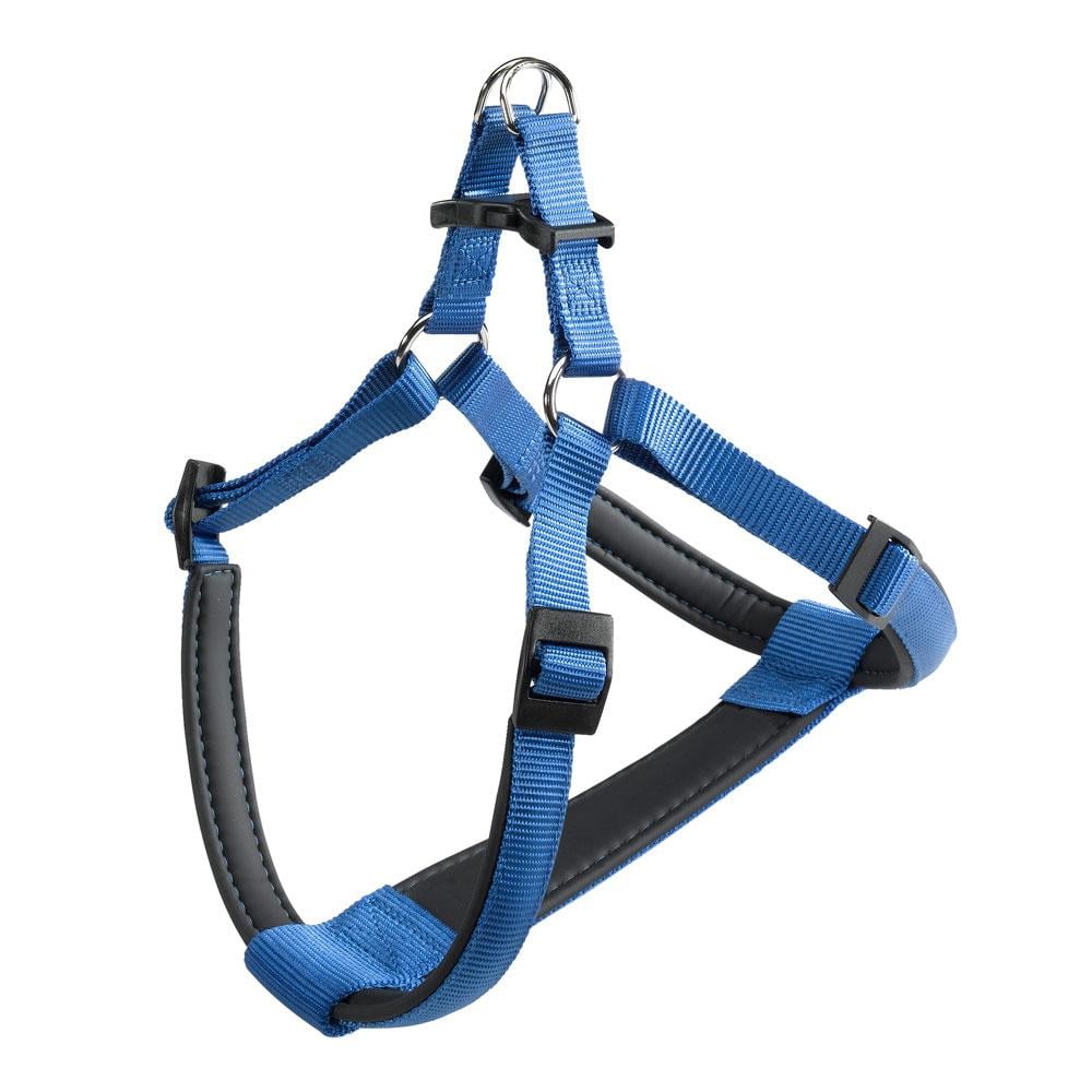 DAYTONA P SM HARNESS BLUE