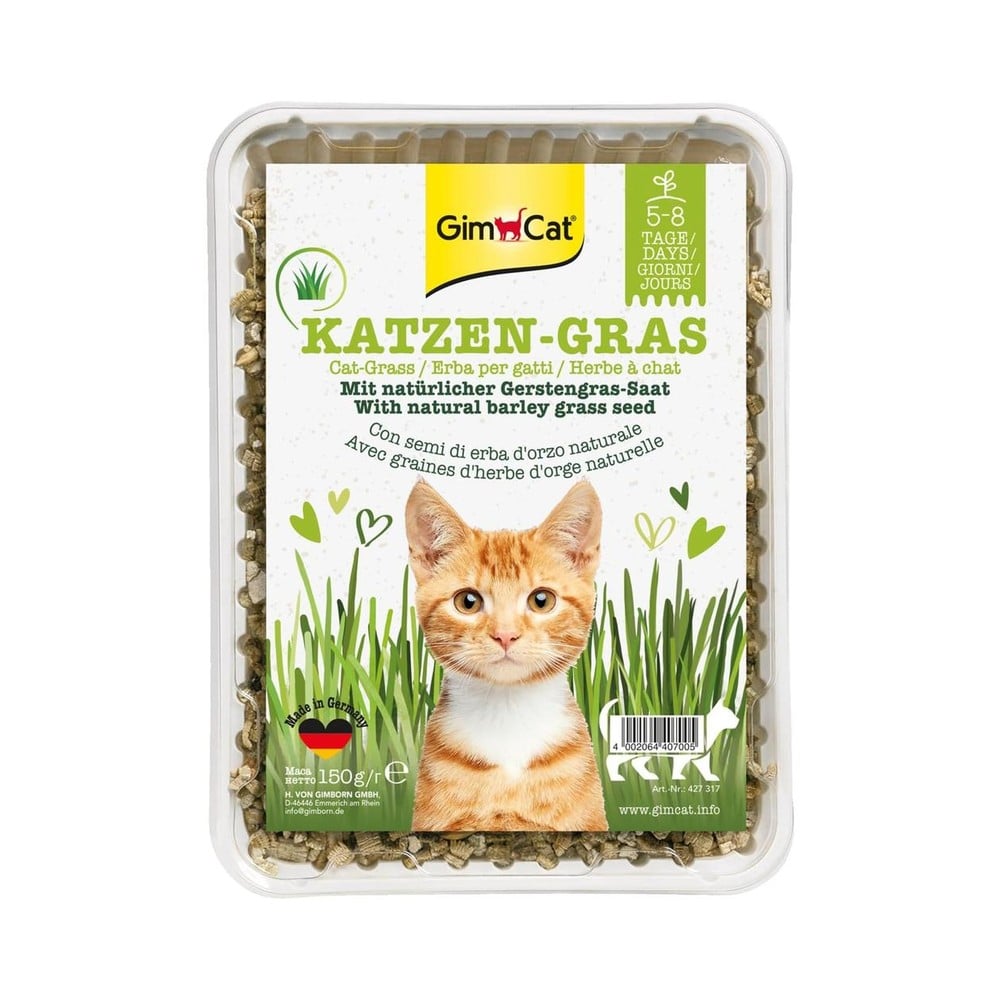 GimCat – Kattagras