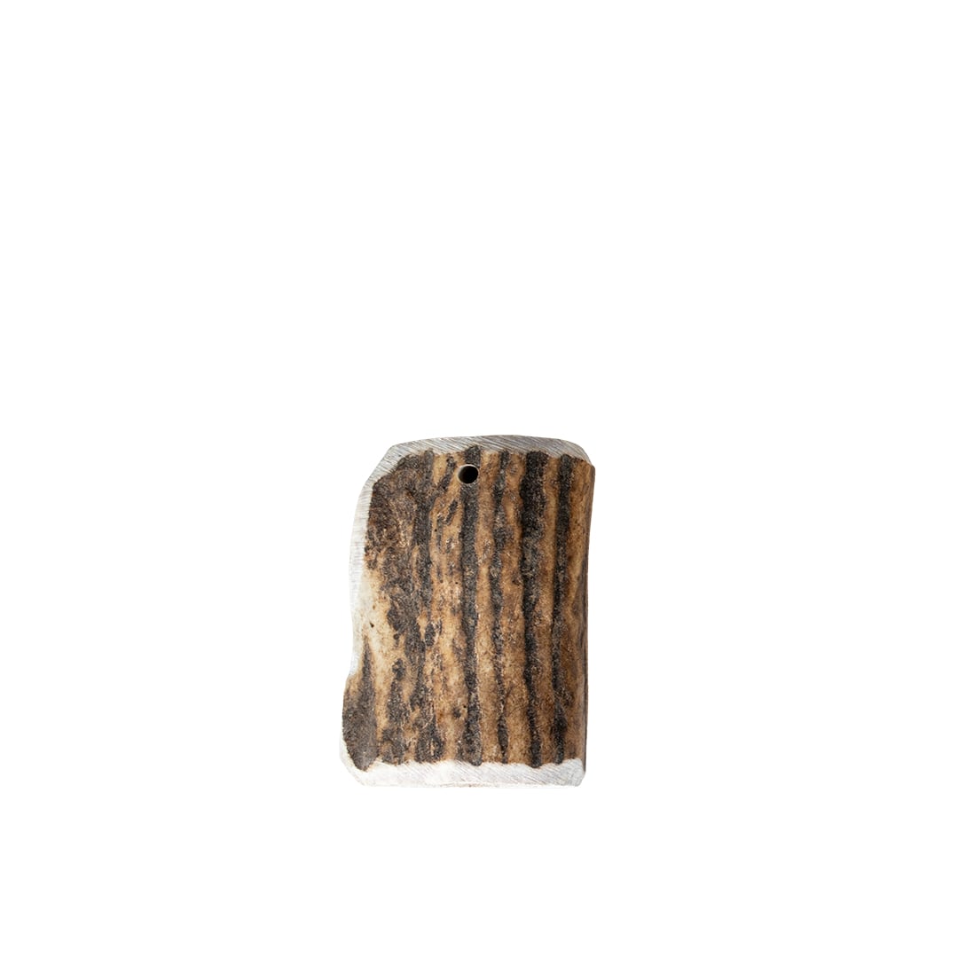 Red deer antler XL 1