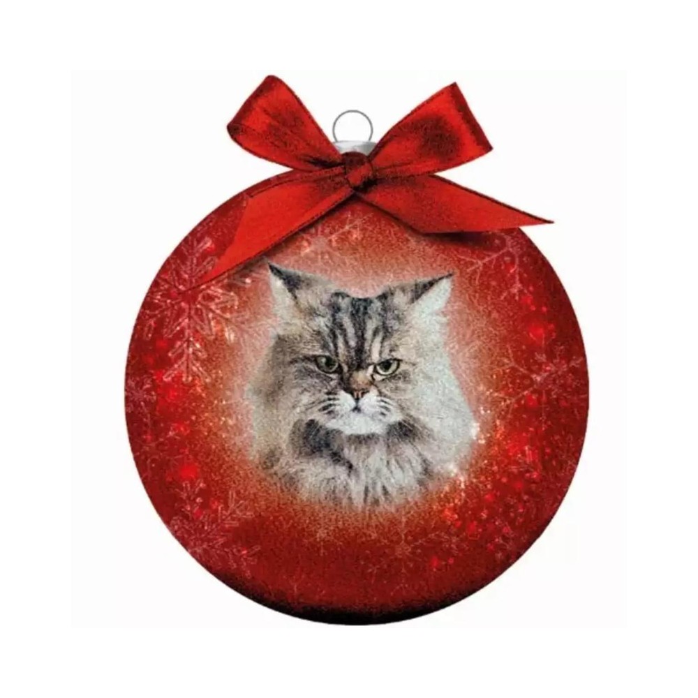 Bauble Xmas Frosted Cl Go away