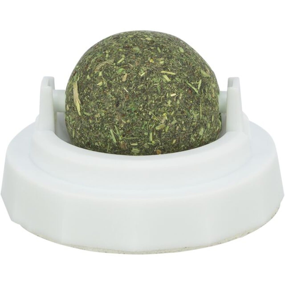 Catnip bolti með haldara 5 cm